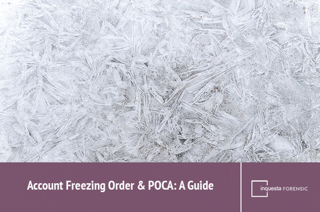 Account-freezing-order-POCA-FEATURE