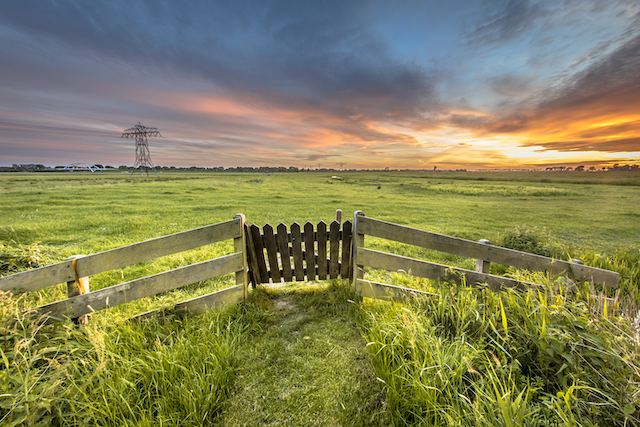 fence-leading-to-open-field-metaphor-what-is-members-voluntary-liquidation-FEATURED