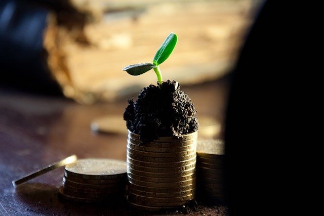 growing money metaphor to improve low working capital feature