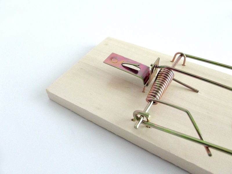 mouse-trap-directors-loan-account-trap-company-exit-services