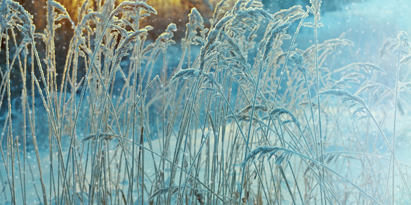 winter-scene-snow-ice-field